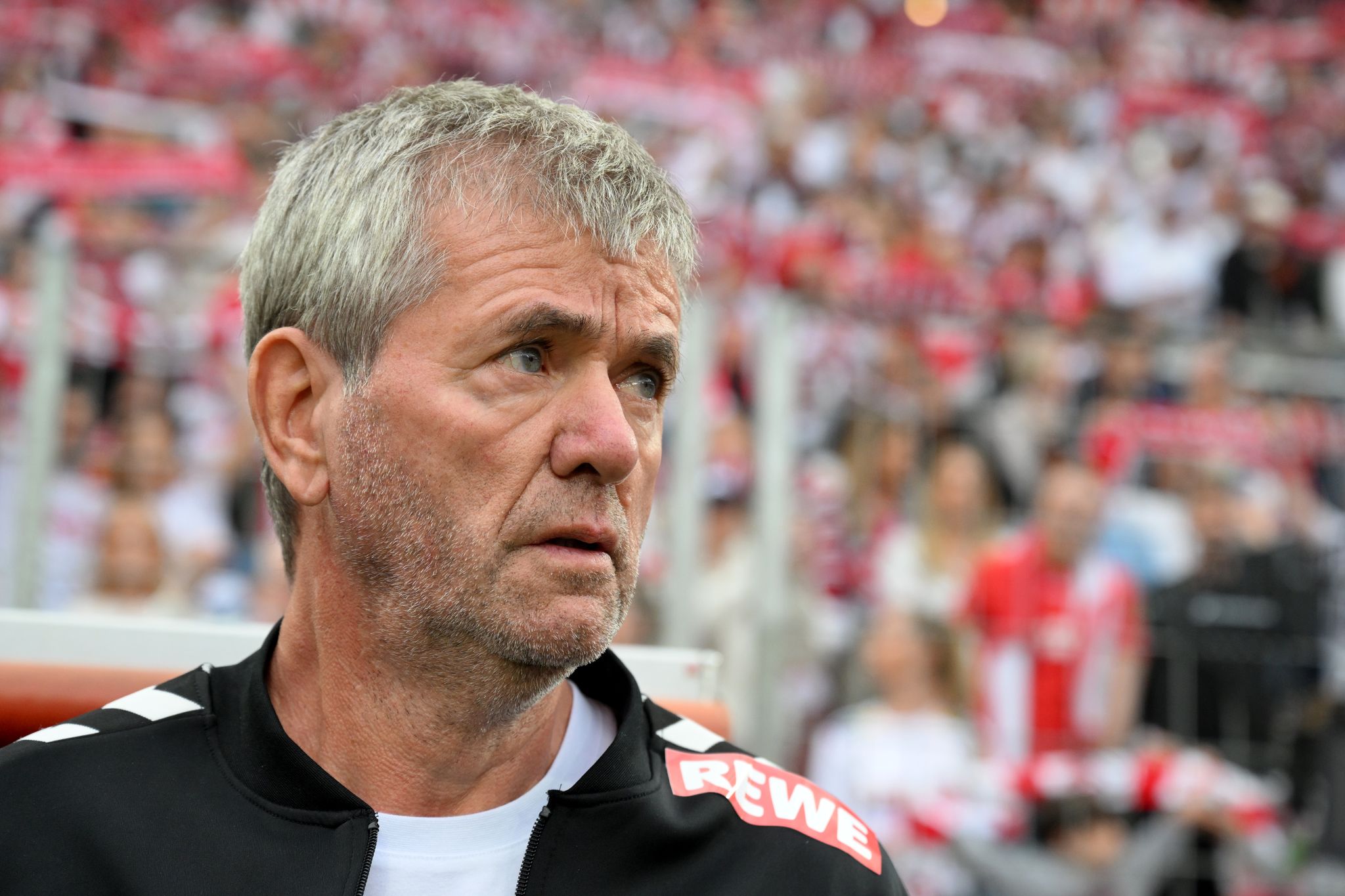 Sky: Funkel soll nicht Köln-Trainer bleiben