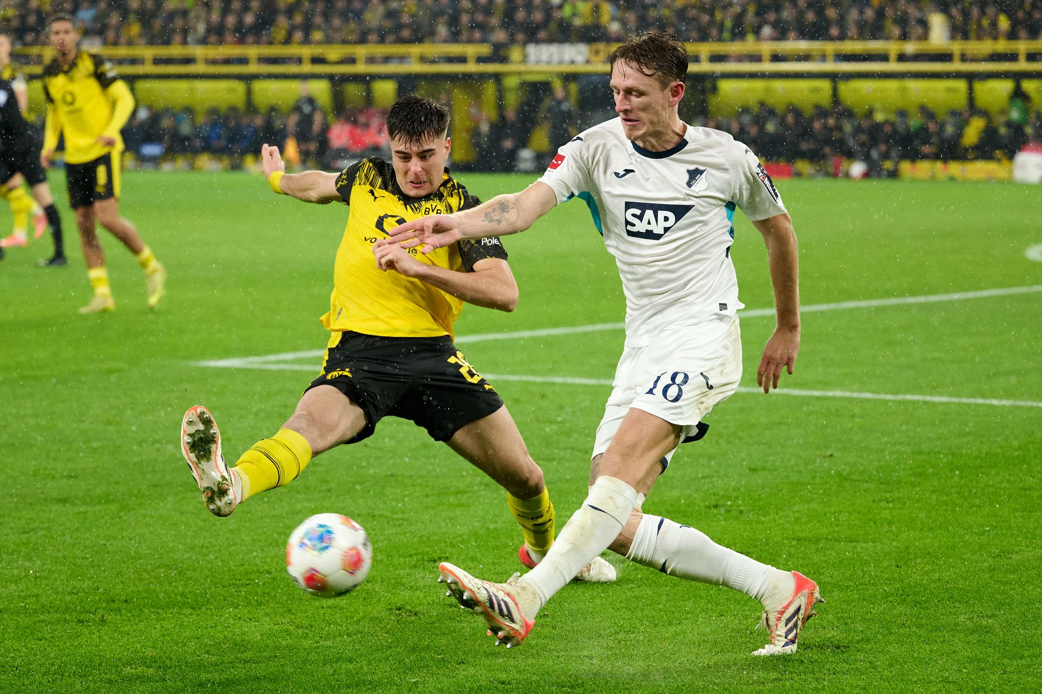 Chelsea holt BVB-Verteidiger Anselmino zurück